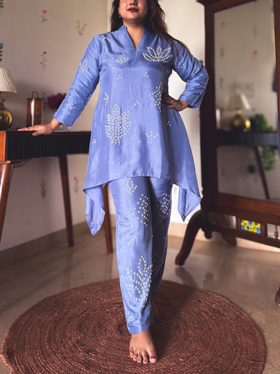 Naina Periwinkle Hand-Embroidered Co-ord Set