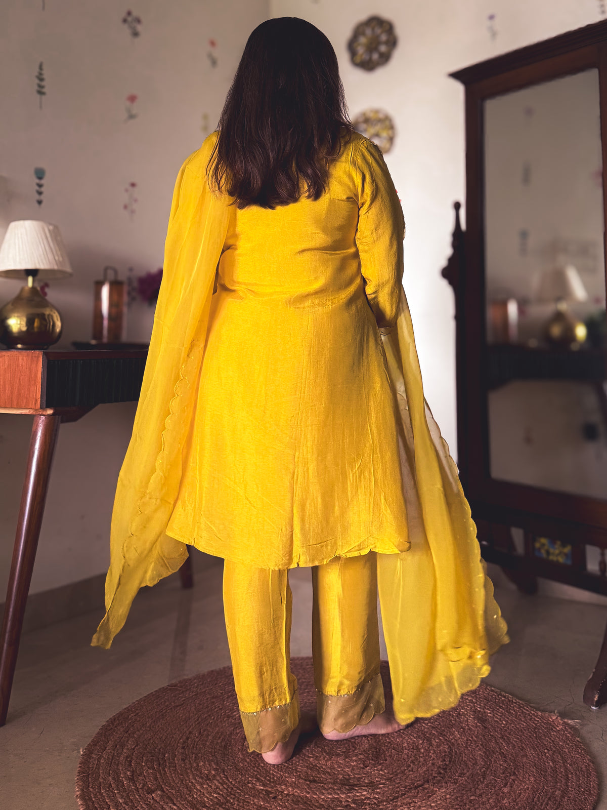Mastani Mustard Gold Hand-Embroidered Kurta Set