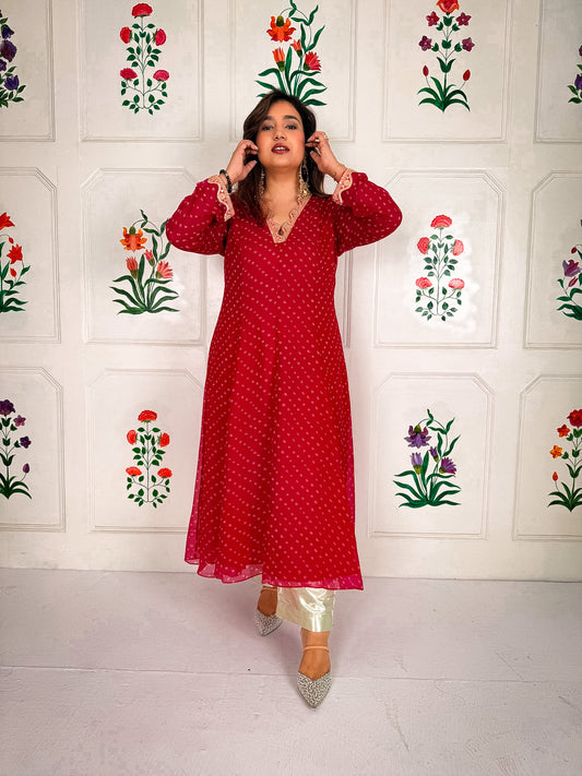 Gulnaar Long Kurta Set