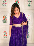 Load image into Gallery viewer, Jamuni Noor Lehenga Set
