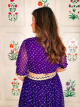 Load image into Gallery viewer, Jamuni Noor Lehenga Set
